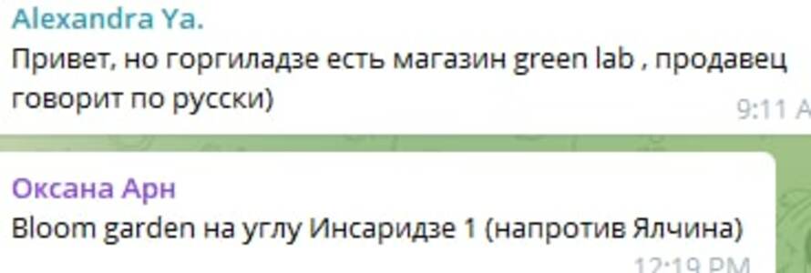 Прикрипленное изображение